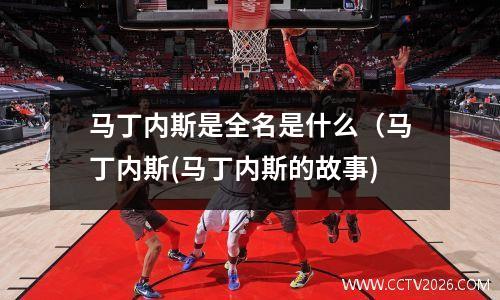 马丁内斯是全名是什么（马丁内斯(马丁内斯的故事)