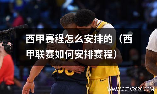西甲赛程怎么安排的（西甲联赛如何安排赛程）