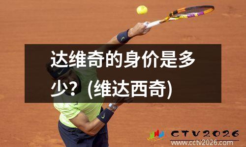 达维奇的身价是多少？(维达西奇)