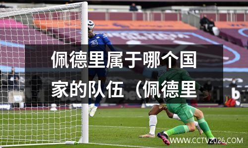 佩德里属于哪个国家的队伍（佩德里