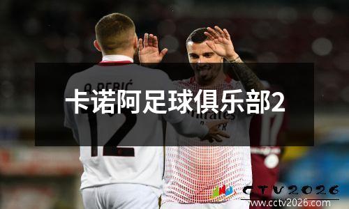 卡诺阿足球俱乐部2