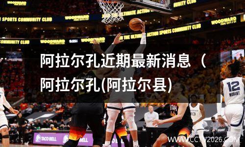 阿拉尔孔近期最新消息（阿拉尔孔(阿拉尔县)