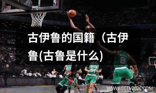 古伊鲁的国籍（古伊鲁(古鲁是什么)