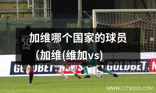 加维哪个国家的球员（加维(维加vs)