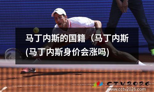 马丁内斯的国籍（马丁内斯(马丁内斯身价会涨吗)