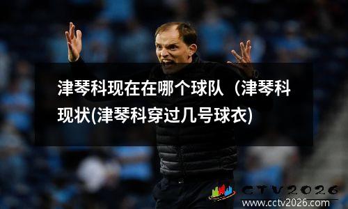 津琴科现在在哪个球队（津琴科现状(津琴科穿过几号球衣)