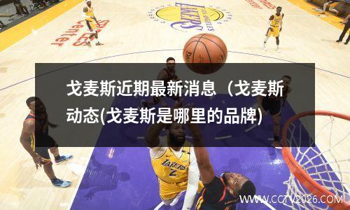 戈麦斯近期最新消息（戈麦斯动态(戈麦斯是哪里的品牌)