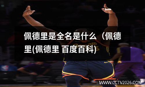 佩德里是全名是什么（佩德里(佩德里 百度百科)