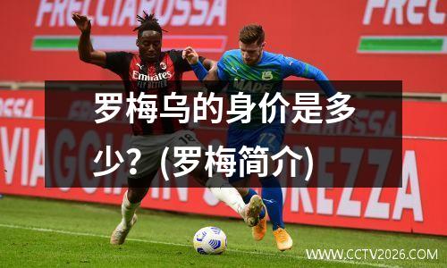 罗梅乌的身价是多少？(罗梅简介)