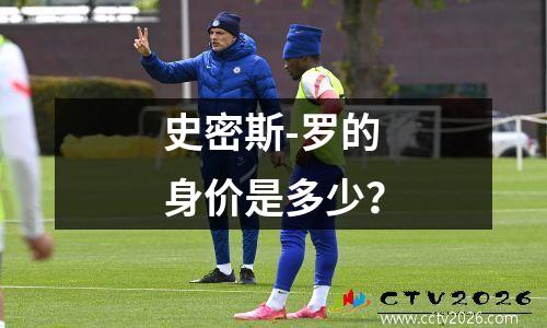 史密斯-罗的身价是多少？
