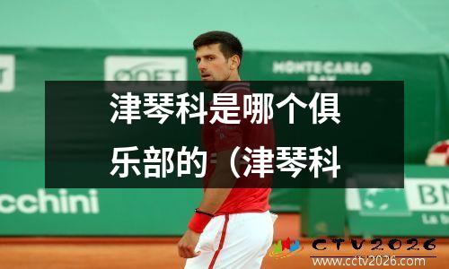 津琴科是哪个俱乐部的（津琴科