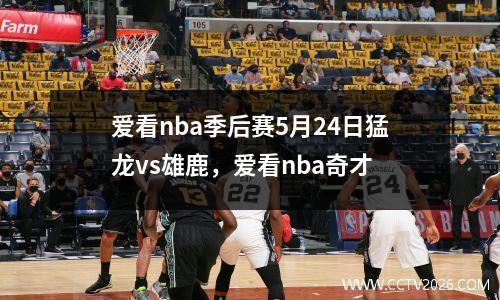 爱看nba季后赛5月24日猛龙vs雄鹿，爱看nba奇才