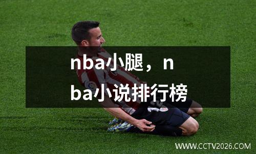 nba小腿，nba小说排行榜