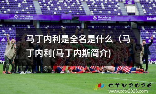 马丁内利是全名是什么（马丁内利(马丁内斯简介)