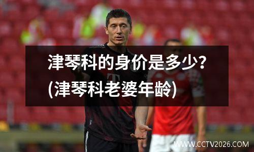 津琴科的身价是多少？(津琴科老婆年龄)