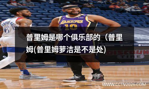 普里姆是哪个俱乐部的（普里姆(普里姆萝洁是不是处)