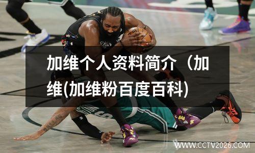 加维个人资料简介（加维(加维粉百度百科)