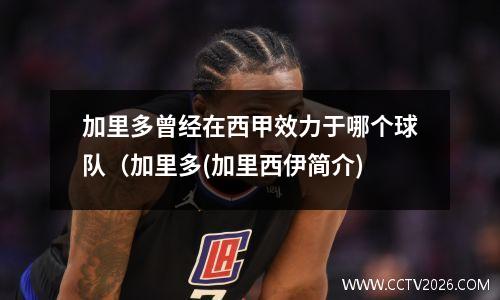 加里多曾经在西甲效力于哪个球队（加里多(加里西伊简介)