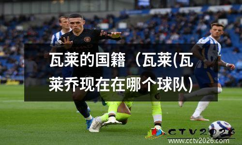 瓦莱的国籍（瓦莱(瓦莱乔现在在哪个球队)