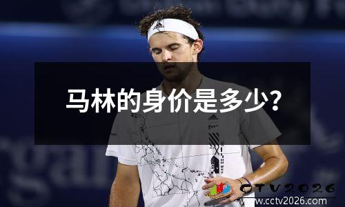 马林的身价是多少？