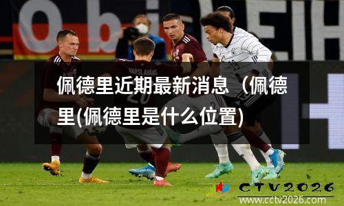 佩德里近期最新消息（佩德里(佩德里是什么位置)