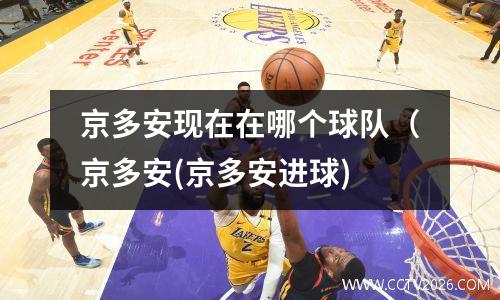 京多安现在在哪个球队（京多安(京多安进球)