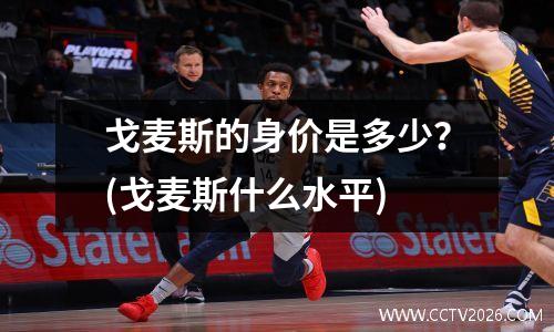 戈麦斯的身价是多少？(戈麦斯什么水平)
