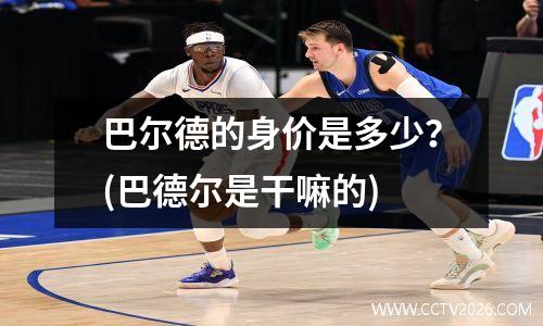 巴尔德的身价是多少？(巴德尔是干嘛的)