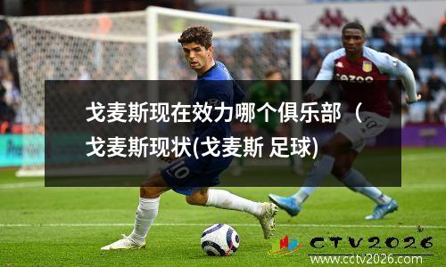 戈麦斯现在效力哪个俱乐部（戈麦斯现状(戈麦斯 足球)