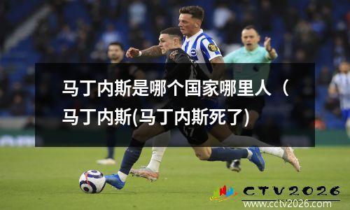 马丁内斯是哪个国家哪里人（马丁内斯(马丁内斯死了)