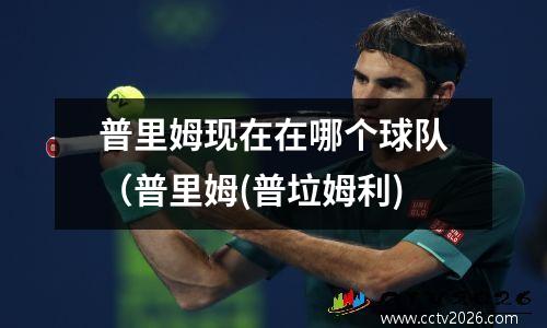 普里姆现在在哪个球队（普里姆(普垃姆利)
