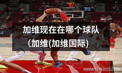 加维现在在哪个球队（加维(加维国际)