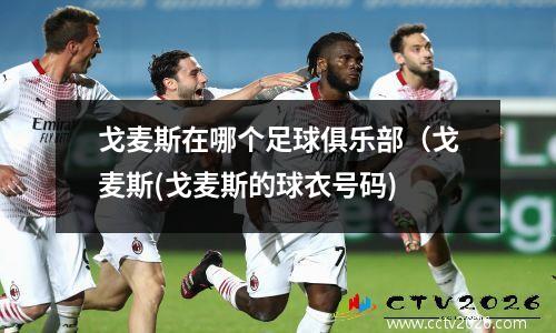 戈麦斯在哪个足球俱乐部（戈麦斯(戈麦斯的球衣号码)