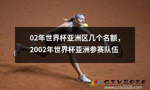 02年世界杯亚洲区几个名额，2002年世界杯亚洲参赛队伍