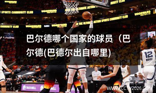 巴尔德哪个国家的球员（巴尔德(巴德尔出自哪里)