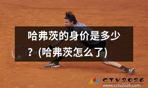 哈弗茨的身价是多少？(哈弗茨怎么了)