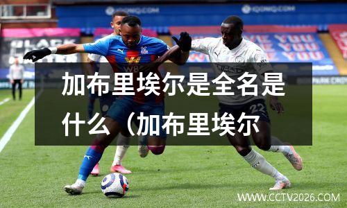 加布里埃尔是全名是什么（加布里埃尔