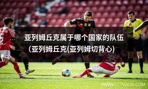 亚列姆丘克属于哪个国家的队伍（亚列姆丘克(亚列姆切背心)