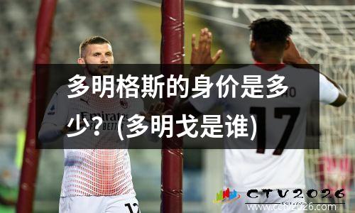 多明格斯的身价是多少？(多明戈是谁)