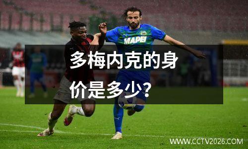 多梅内克的身价是多少？