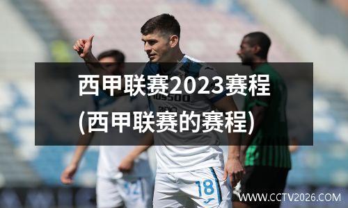西甲联赛2023赛程(西甲联赛的赛程)