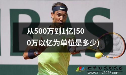 从500万到1亿(500万以亿为单位是多少)