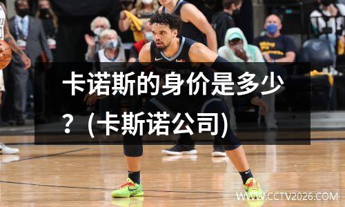 卡诺斯的身价是多少？(卡斯诺公司)