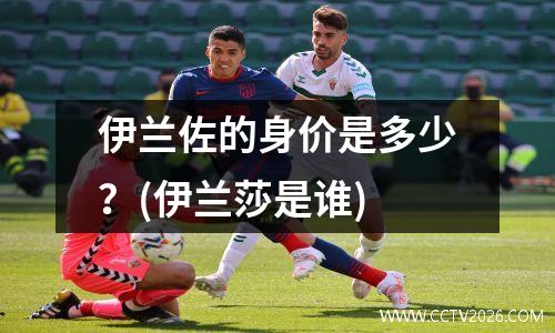 伊兰佐的身价是多少？(伊兰莎是谁)