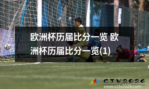 欧洲杯历届比分一览 欧洲杯历届比分一览(1)