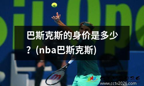 巴斯克斯的身价是多少？(nba巴斯克斯)