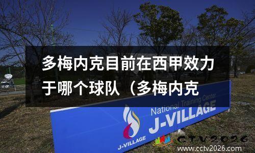 多梅内克目前在西甲效力于哪个球队（多梅内克