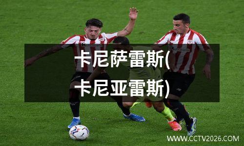 卡尼萨雷斯(卡尼亚雷斯)