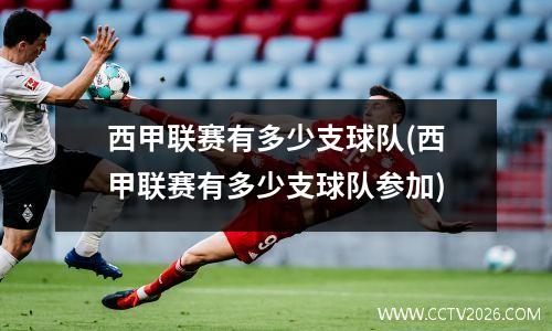 西甲联赛有多少支球队(西甲联赛有多少支球队参加)