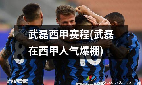 武磊西甲赛程(武磊在西甲人气爆棚)